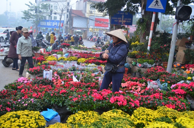nhung khu cho hoa tet truyen thong lung danh dat ha thanh
