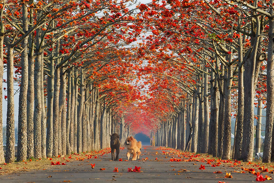15 con duong khien ban tin rang co tich la co that