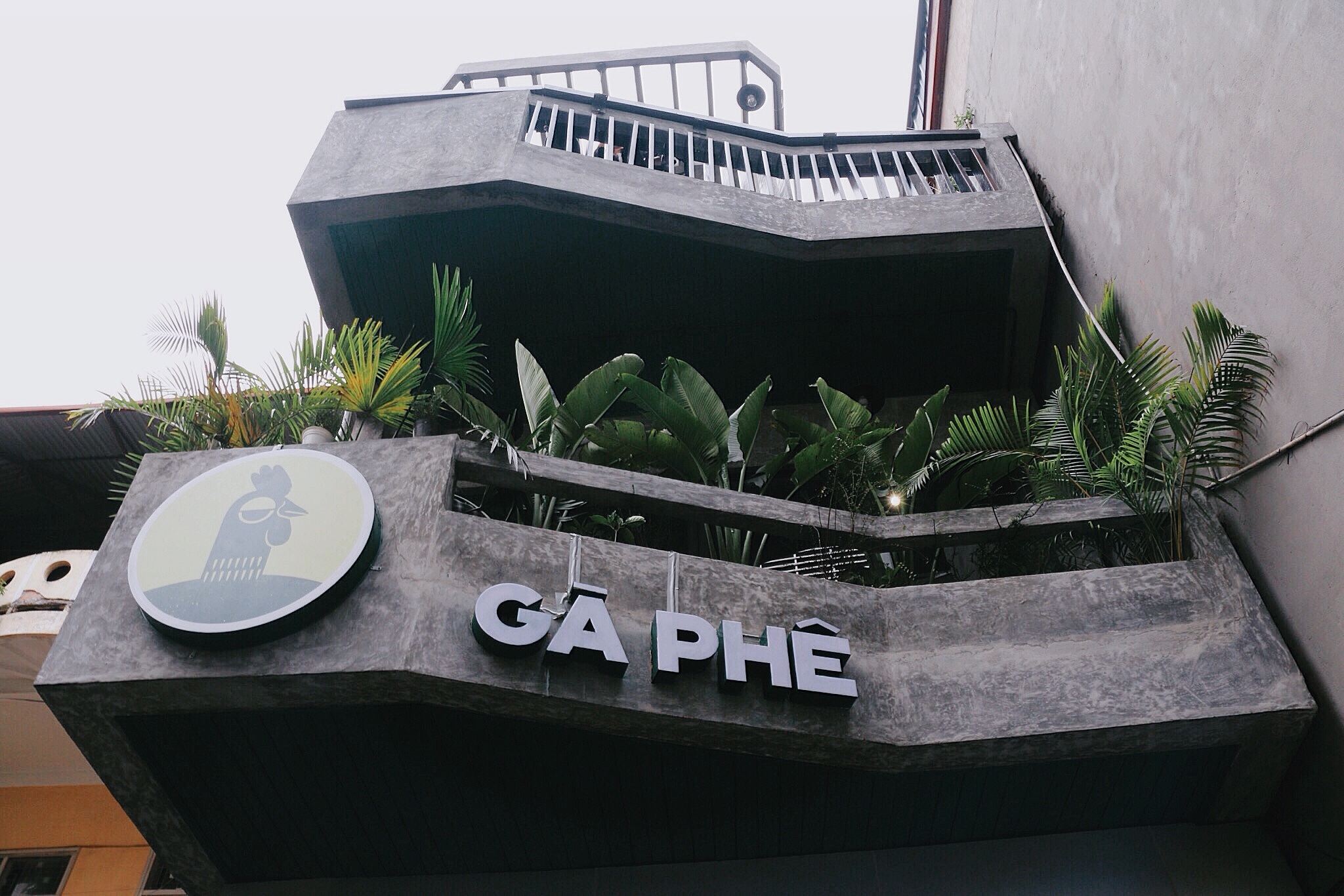 ga phe goc yen tinh cho gioi tre ha thanh