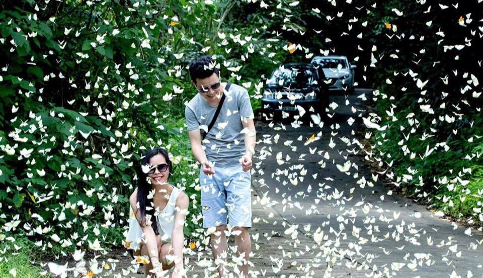 co hen o cuc phuong mua buom trang