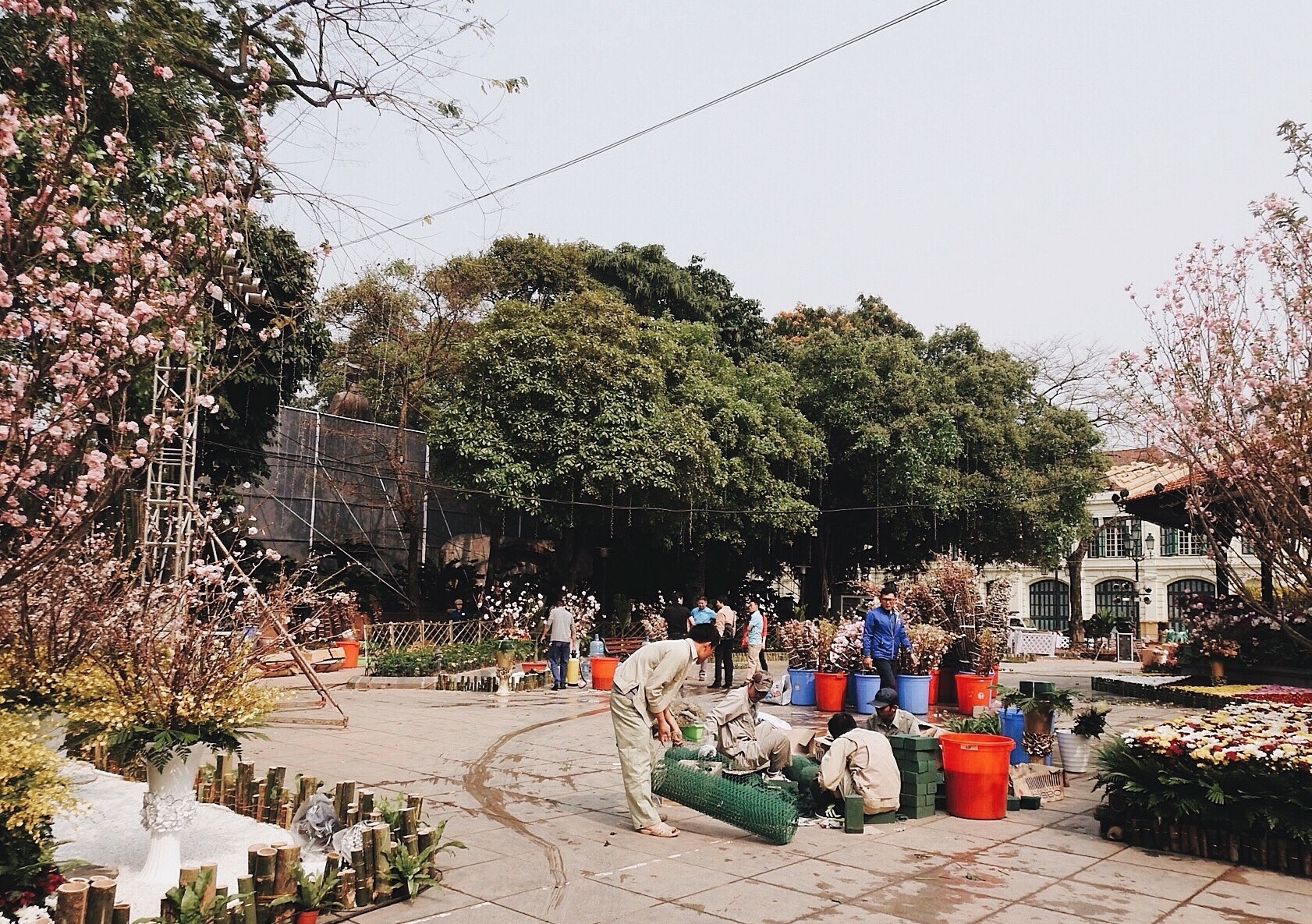 quang canh le hoi hoa anh dao truoc gio khai mac