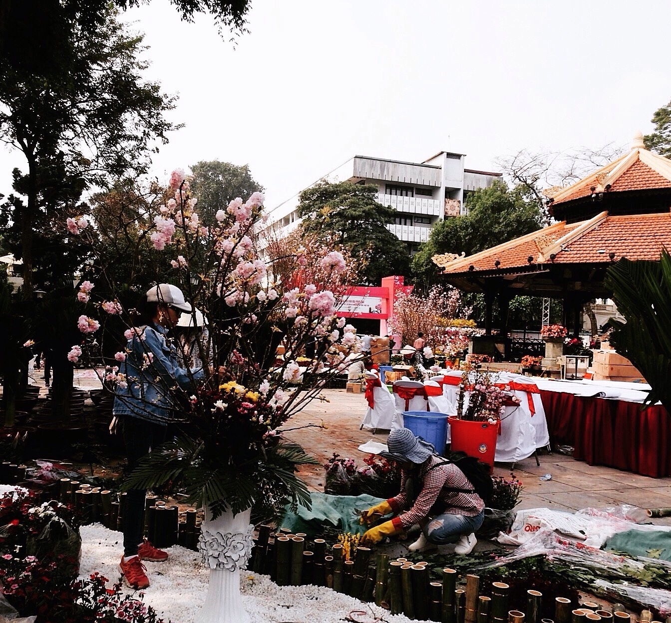 quang canh le hoi hoa anh dao truoc gio khai mac