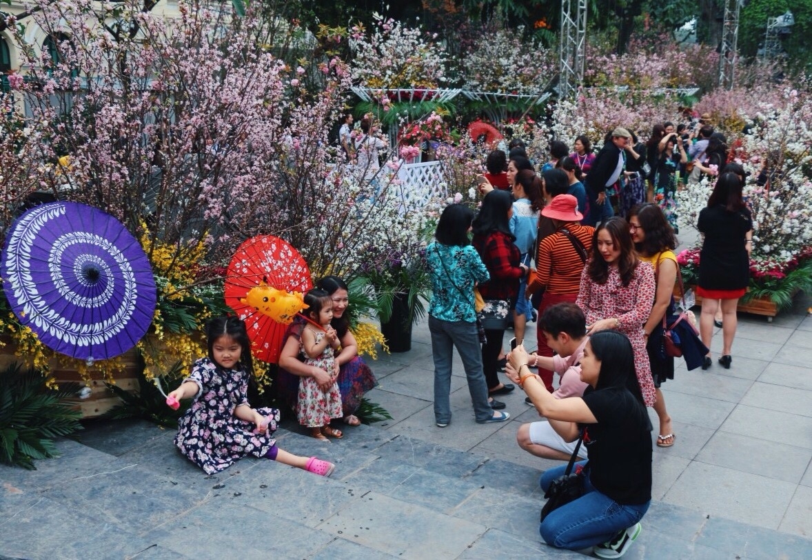 le hoi hoa anh dao thu hut dong dao du khach