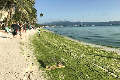dao du lich boracay co the bi dong cua tu ngay 264