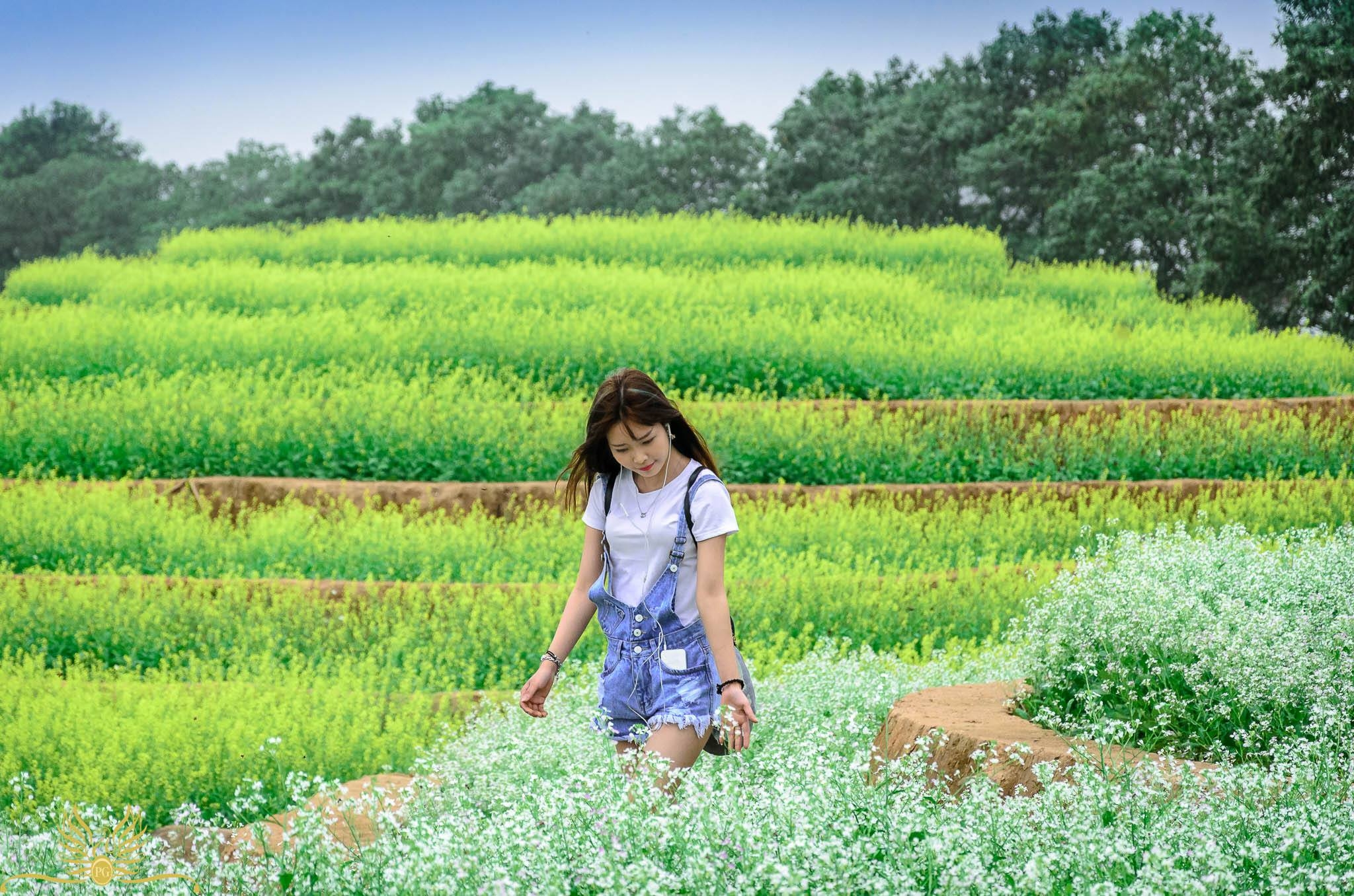 kham pha ngay ruong bac thang sac mau tai ha noi