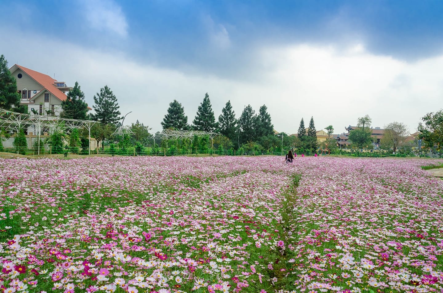 kham pha ngay ruong bac thang sac mau tai ha noi
