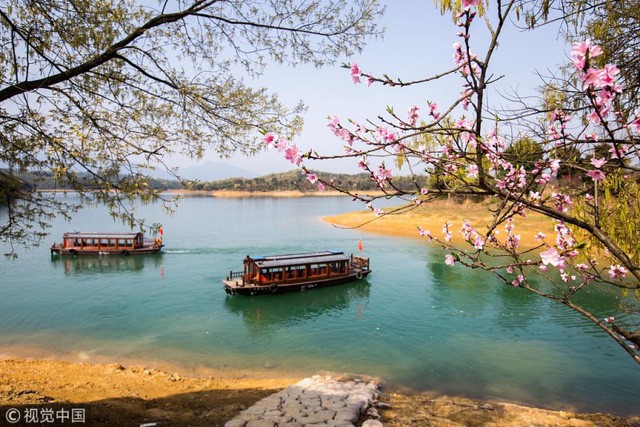 mua hoa no trung quoc thu hut hang ngan khach du lich