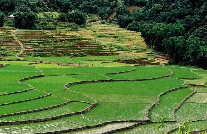 Chinh phục 'thung lũng mây' ngay sát Hà Nội chinh phuc thanh pho trong may ngay sat ha noi
