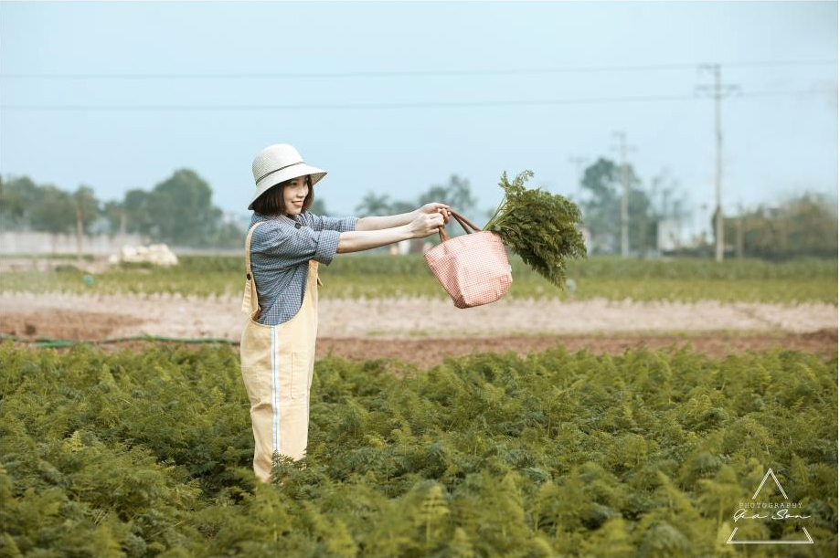 phat hien canh dong ca rot sat xit ha noi diem song ao moi cuc chat danh cho gioi tre