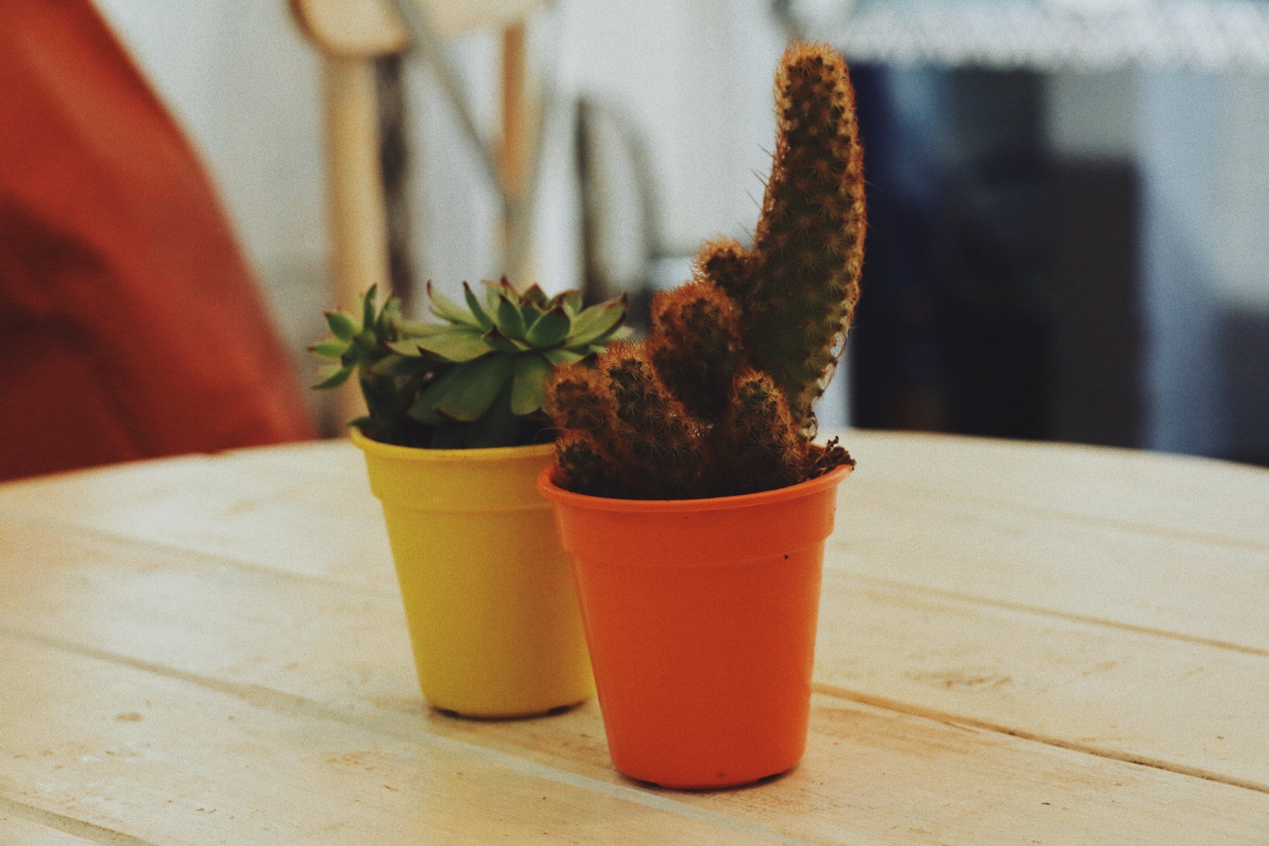 Thêm một điểm quán không thể bỏ lỡ: Auden Coffee phong cách Bohemian trên phố Thái Thịnh lac vao khong gian nghe thuat dam phong cach bohemian ngay tren pho thai thinh