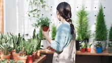 Tận hưởng không gian thiên nhiên xanh ngát ở 4 quán cà phê giữa lòng Hà Nội
