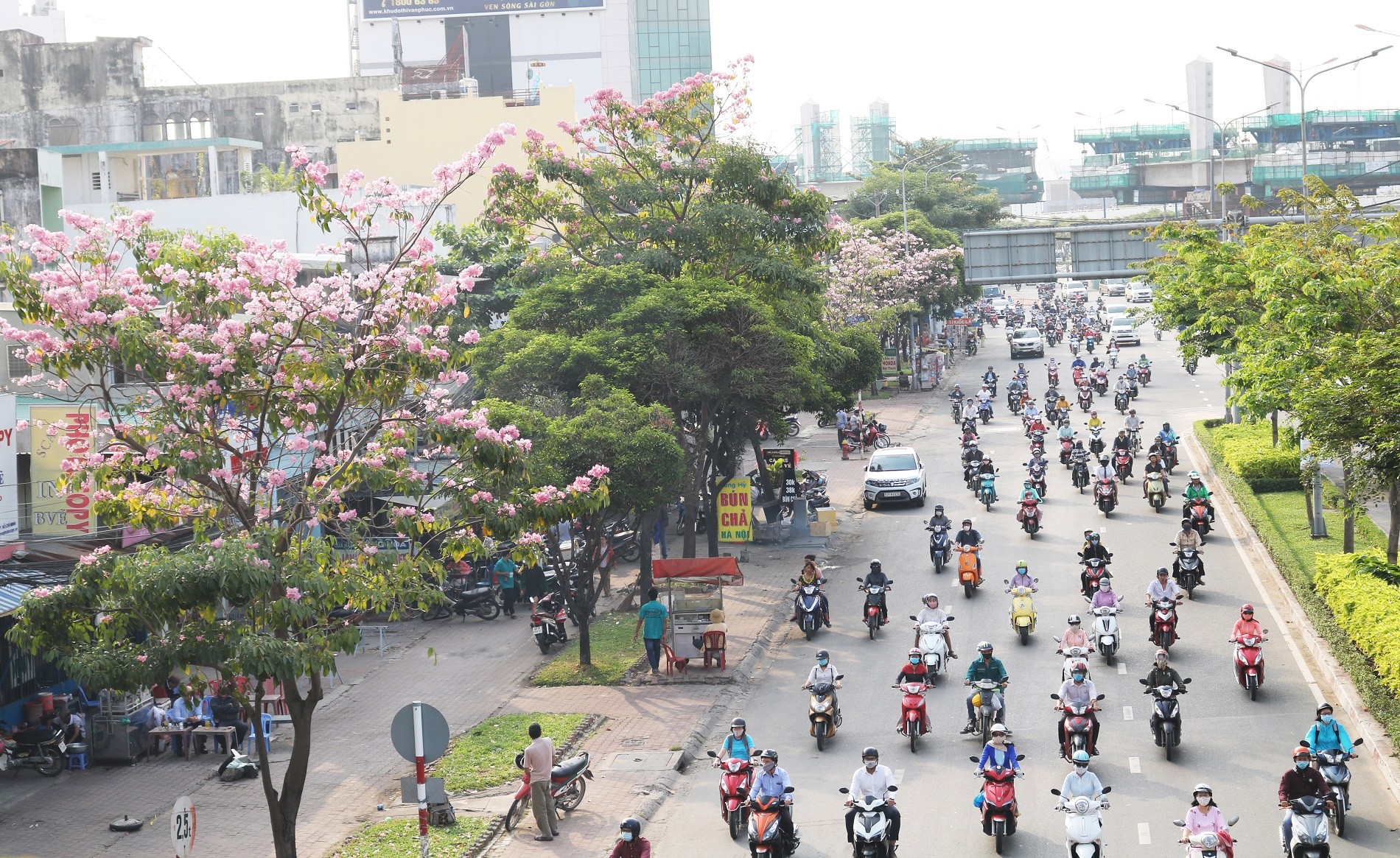 duong pho tphcm quotxinh depquot tho mong trong sac hoa ken hong