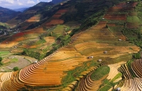 viet nam lot top hanh trinh chau a tuyet voi