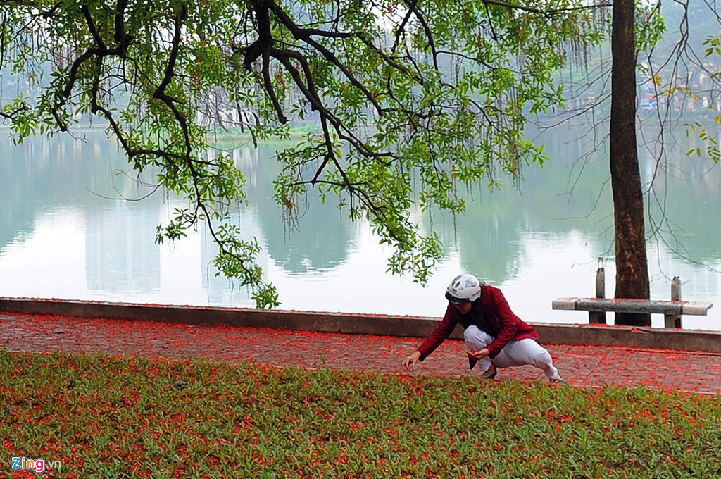 hoa loc vung no rung trai tham mat ho guom