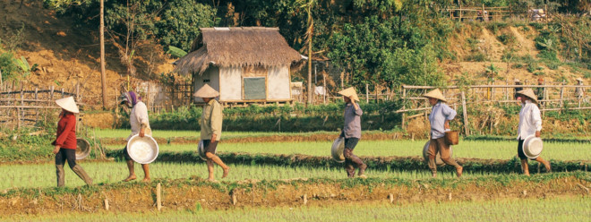 chan nha pho len mai chau trai nghiem cuoc song nha san