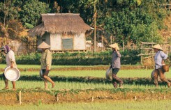 Chán nhà phố lên Mai Châu trải nghiệm cuộc sống nhà sàn