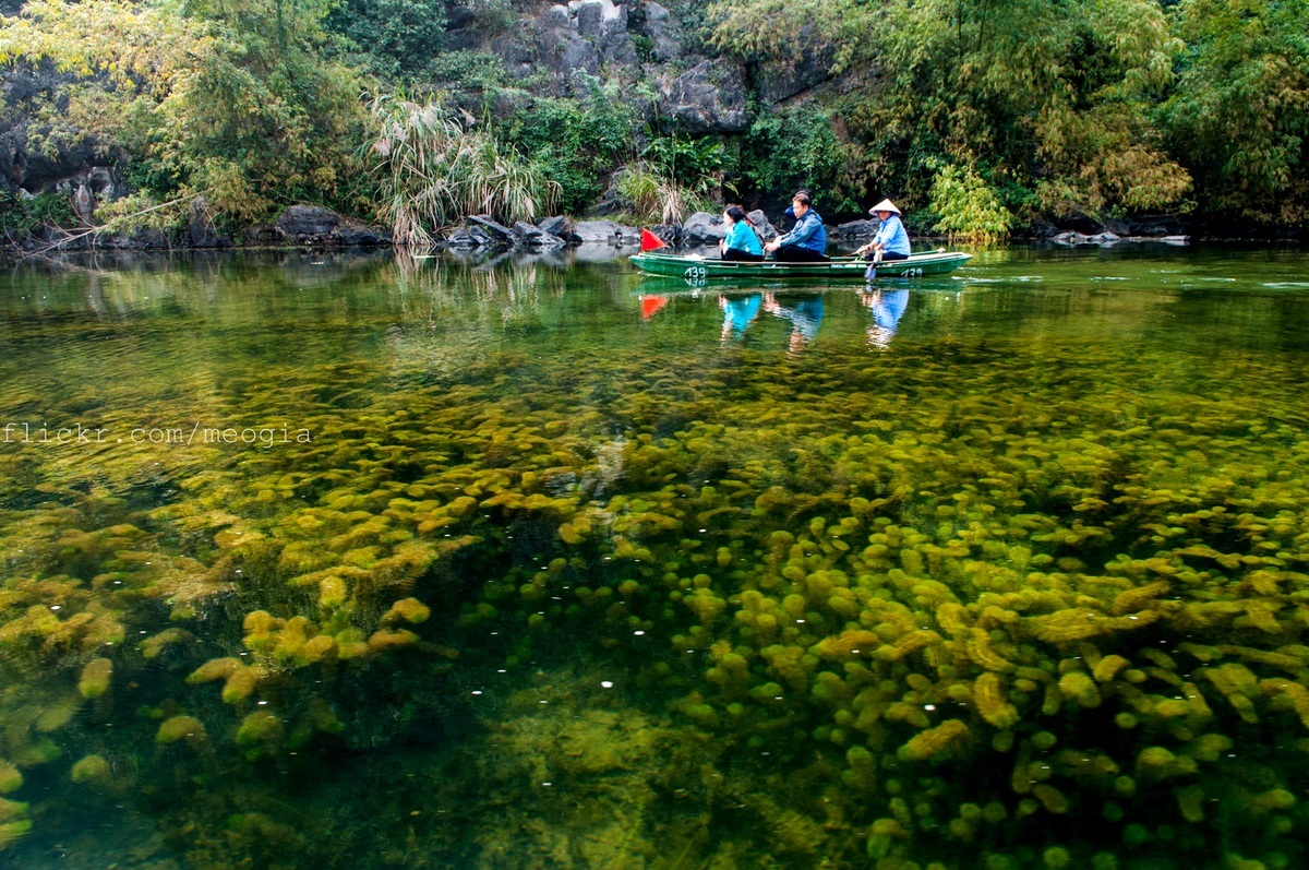 nhung diem den hap dan nhat tai ninh binh dip nghi le 304 15