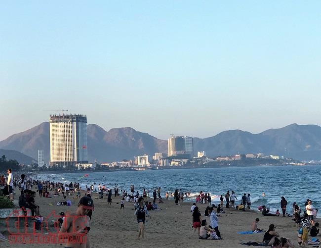 to bao hang dau malaysia ca ngoi ve dep cua nha trang