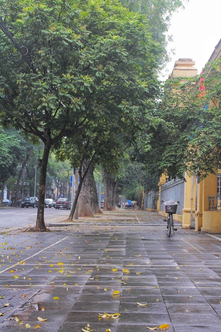 duong pho ha noi vang ve thenh thang trong ngay thu hai nghi le
