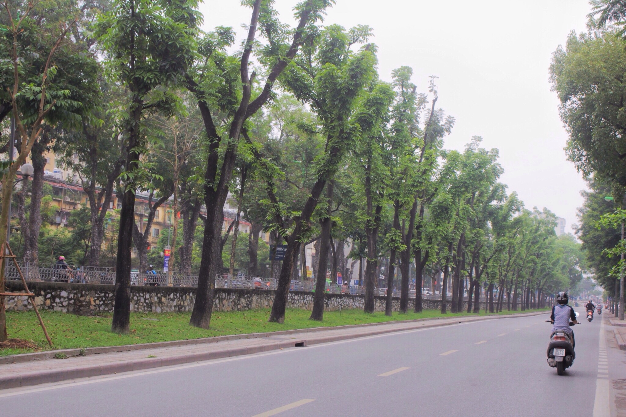 duong pho ha noi vang ve thenh thang trong ngay thu hai nghi le
