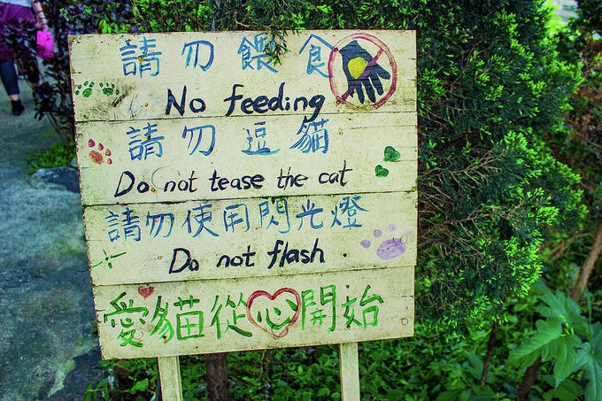 houtong diem den danh cho ke cuong meo o dai loan