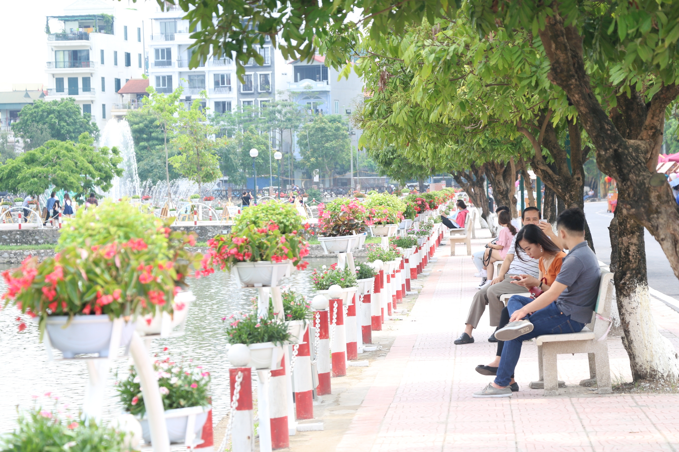 pho di bo trinh cong son am dam sau ngay khai truong vi nang nguoi dan mong co them nhieu cay xanh