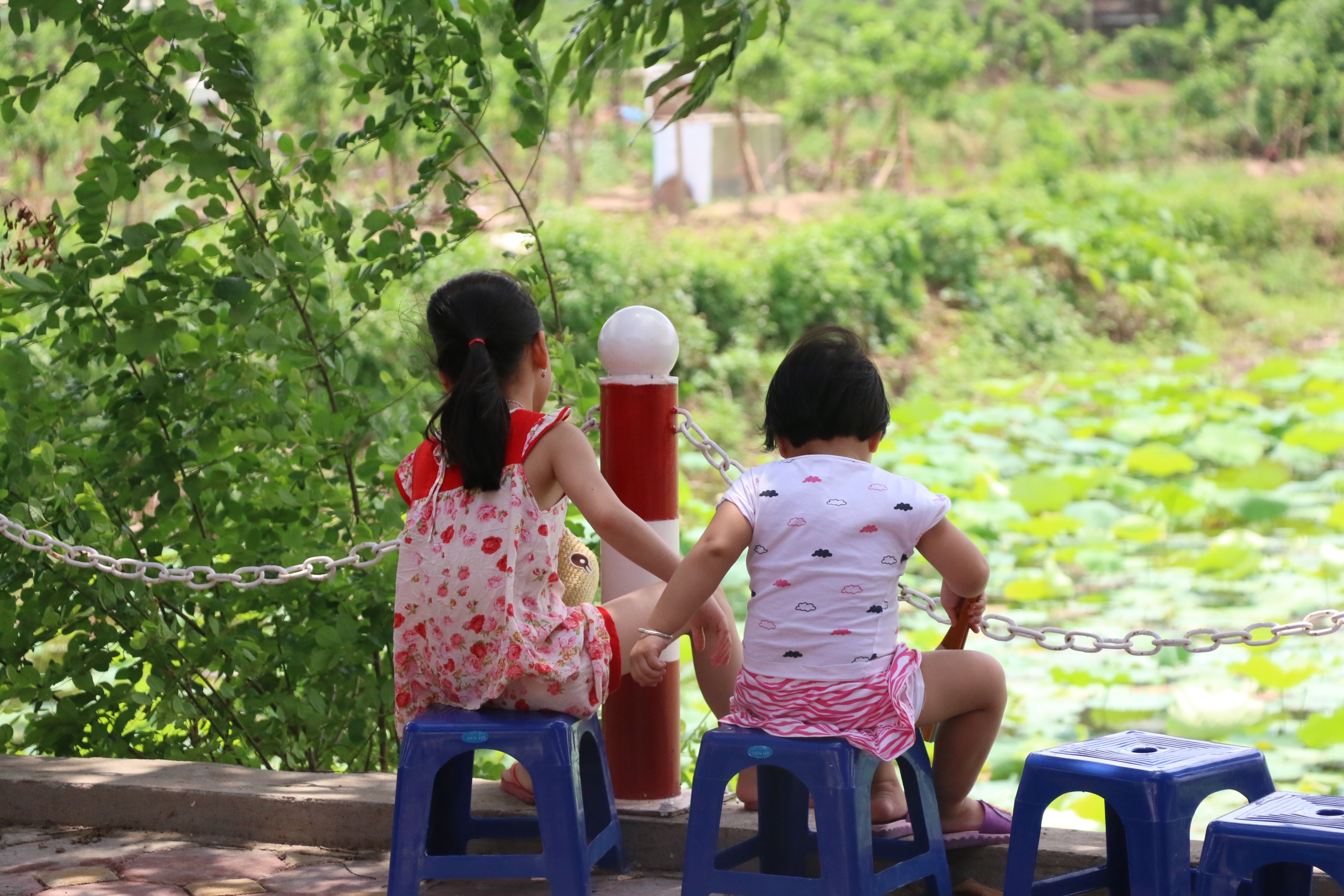 pho di bo trinh cong son am dam sau ngay khai truong vi nang nguoi dan mong co them nhieu cay xanh