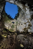nhung cay cau doc nhat vo nhi tren the gioi