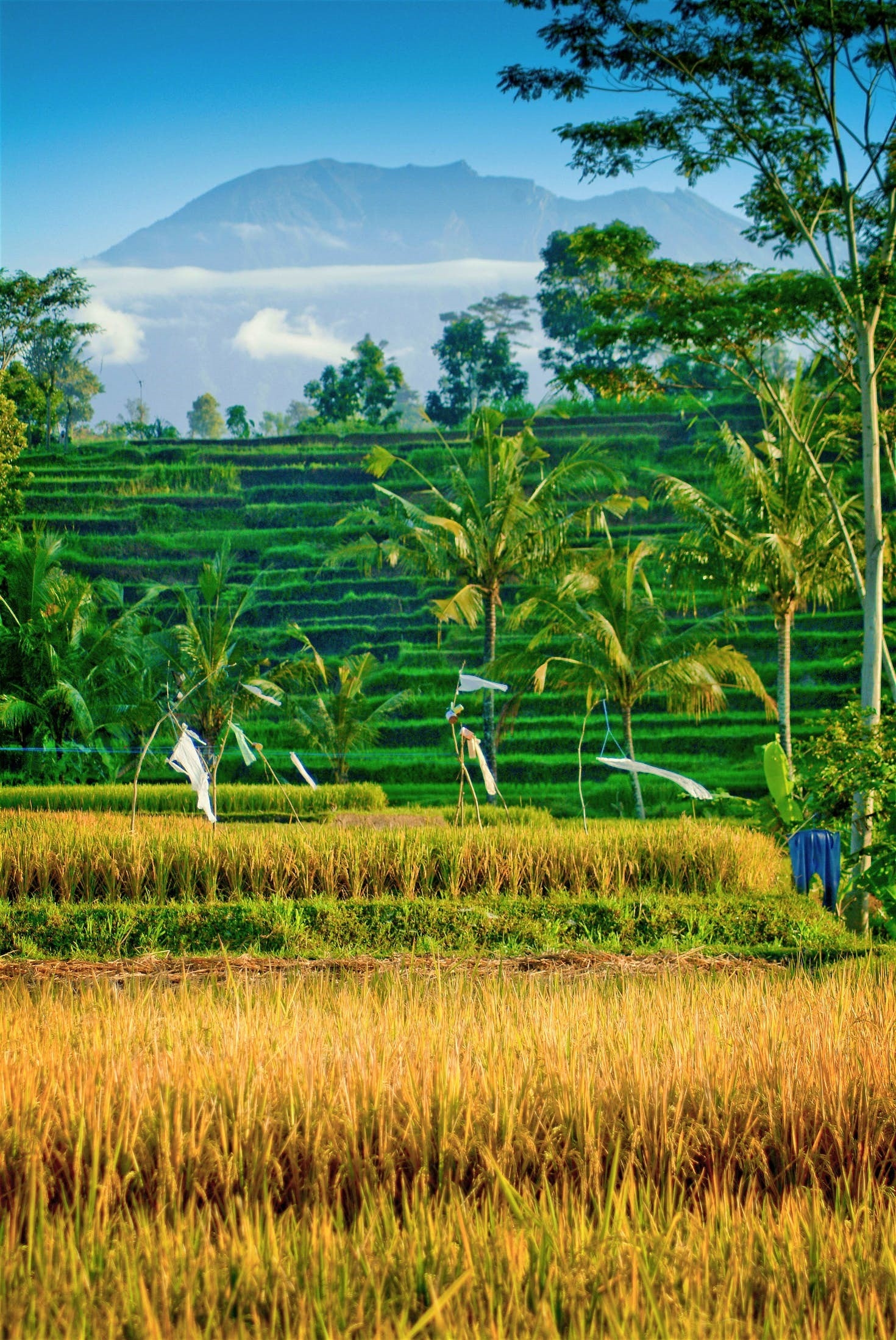 dua nhau di tron o nhung dia diem dep lung linh nhung rat doi thanh binh o dao ngoc bali