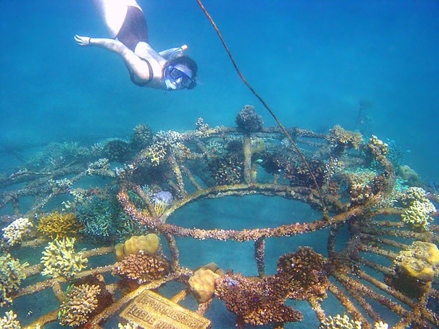 dua nhau di tron o nhung dia diem dep lung linh nhung rat doi thanh binh o dao ngoc bali