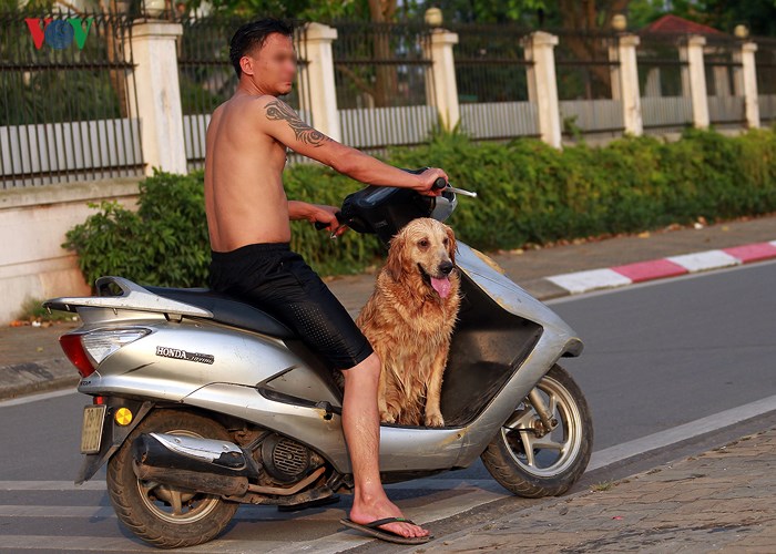 nguy hiem rinh rap khi boi o bai bien ho tay ngay ha noi nang nong