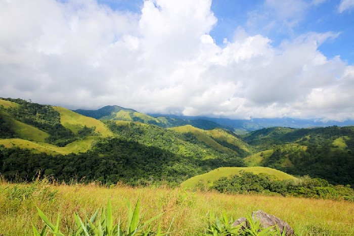 cung duong ta nang phan dung co gi khien phuot thu mao hiem