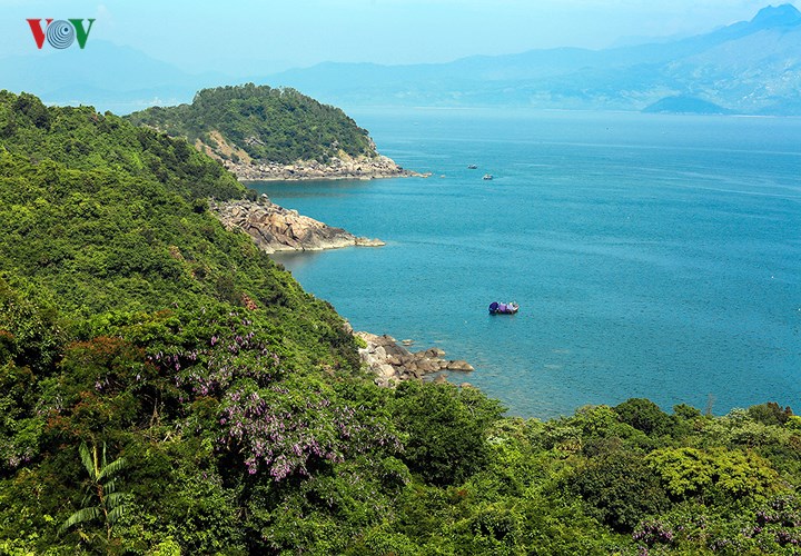 anh ban dao son tra nhuom tim hoa sua