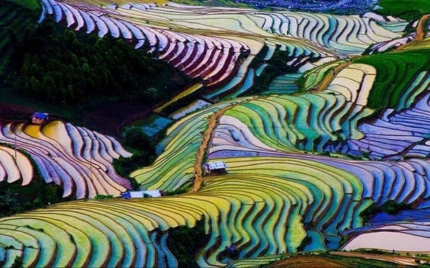 nhung thien duong tron nong ngay he tuyet dep o viet nam