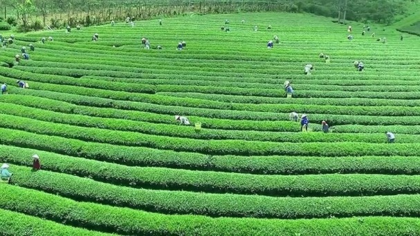 nhung thien duong tron nong ngay he tuyet dep o viet nam