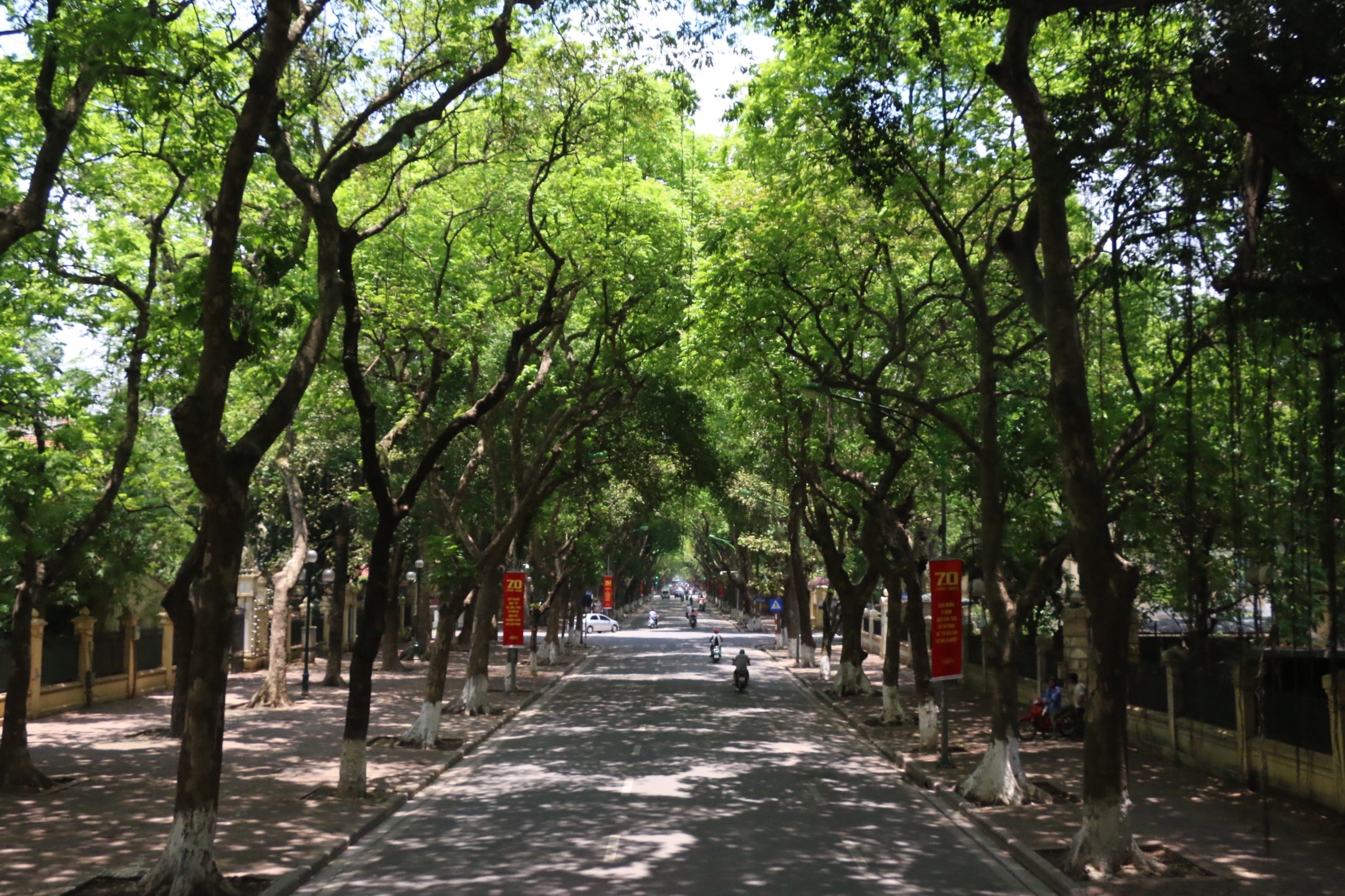 Trải nghiệm ngắm cảnh Hà Nội cực hay từ tầng hai của buýt mui trần trai nghiem ngam canh ha noi cuc hay tu tang hai cua buyt mui tran