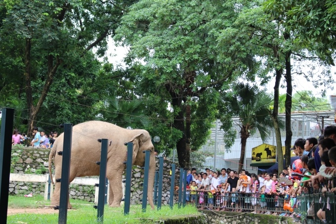 Những khu vui chơi hay nhất dịp 1/6 cho trẻ ở Hà Nội, bố mẹ bận rộn vẫn sắp xếp được thời gian nhung khu vui choi ly tuong dip 16 cho tre o ha noi