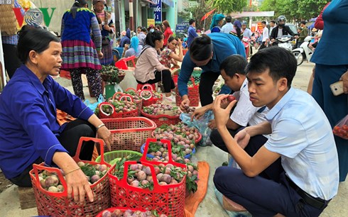 man tam hoa chin ro chao don tuan van hoa du lich bac ha