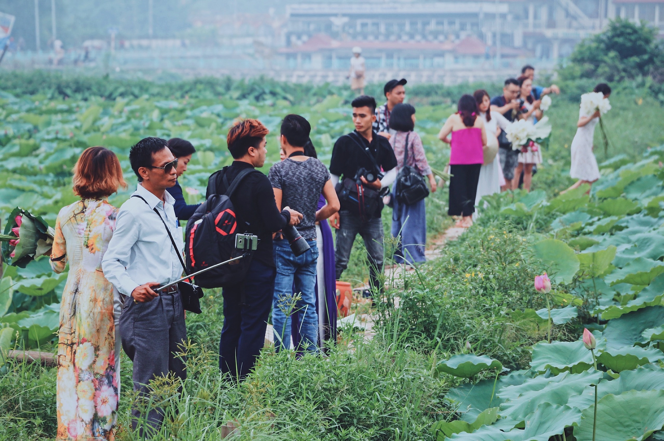 Mỗi năm có một mùa sen: Người người tìm về khu Hồ Tây chụp ảnh moi nam co mot mua sen nguoi nguoi tim ve khu ho tay chup anh