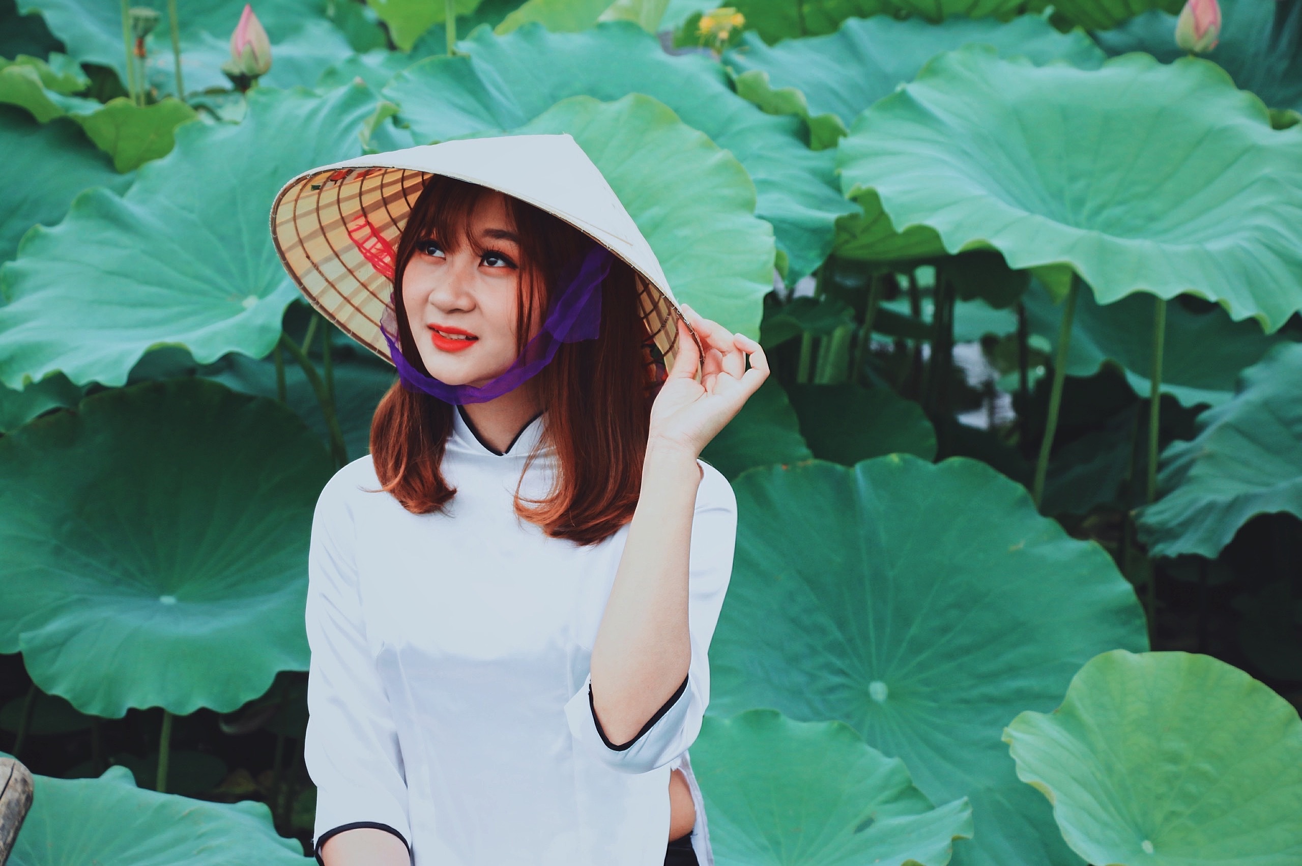 Mỗi năm có một mùa sen: Người người tìm về khu Hồ Tây chụp ảnh moi nam co mot mua sen nguoi nguoi tim ve khu ho tay chup anh