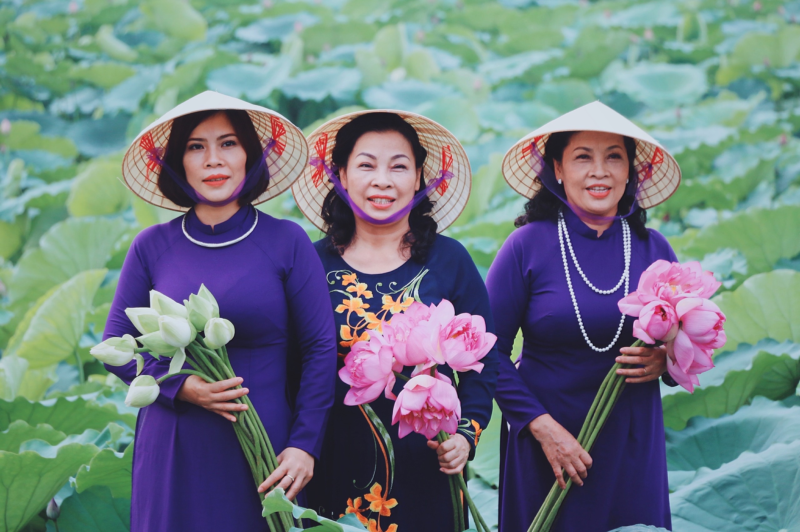 Mỗi năm có một mùa sen: Người người tìm về khu Hồ Tây chụp ảnh moi nam co mot mua sen nguoi nguoi tim ve khu ho tay chup anh