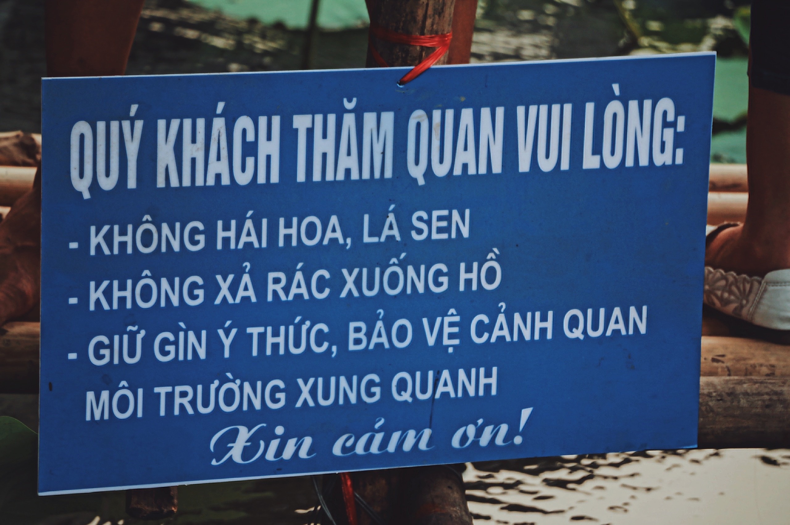 Mỗi năm có một mùa sen: Người người tìm về khu Hồ Tây chụp ảnh moi nam co mot mua sen nguoi nguoi tim ve khu ho tay chup anh