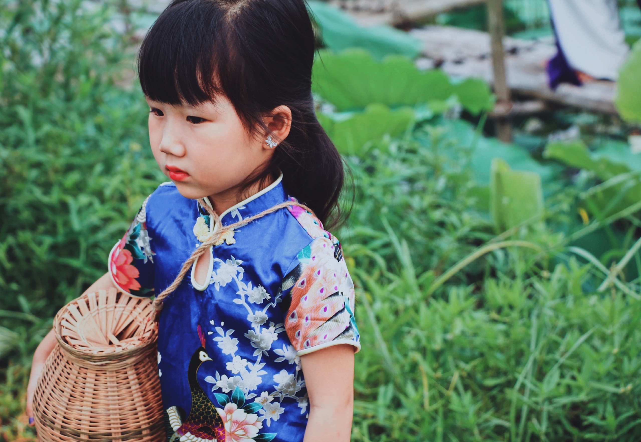 Mỗi năm có một mùa sen: Người người tìm về khu Hồ Tây chụp ảnh moi nam co mot mua sen nguoi nguoi tim ve khu ho tay chup anh