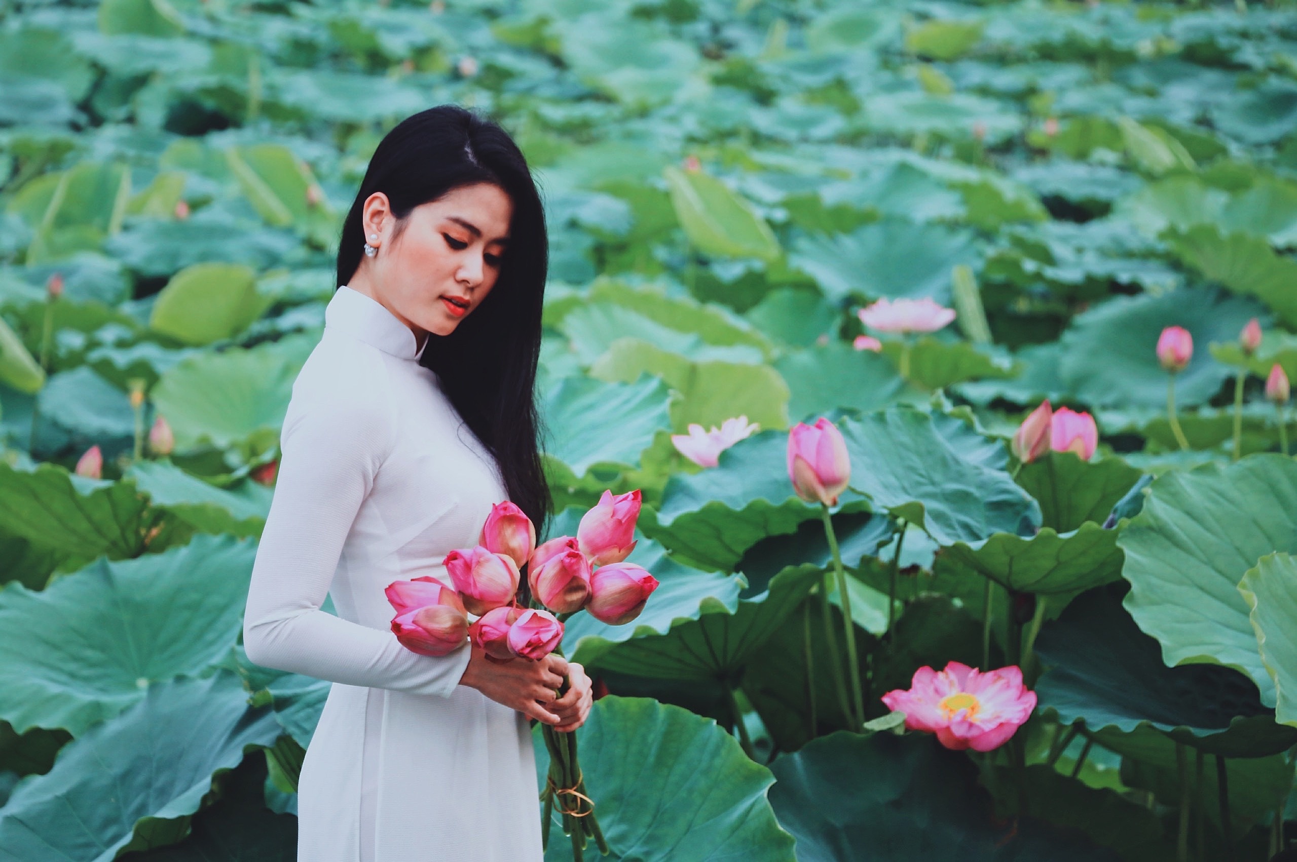 Mỗi năm có một mùa sen: Người người tìm về khu Hồ Tây chụp ảnh moi nam co mot mua sen nguoi nguoi tim ve khu ho tay chup anh