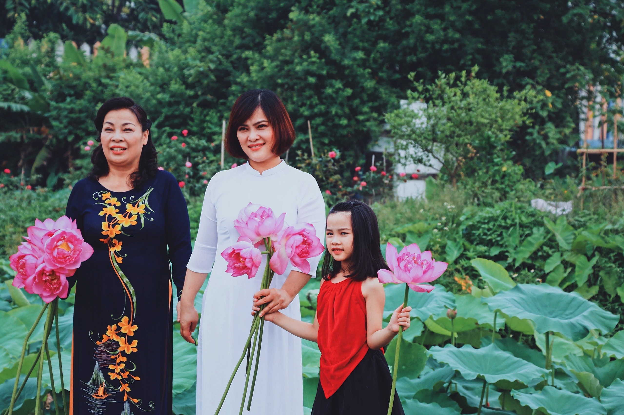 Mỗi năm có một mùa sen: Người người tìm về khu Hồ Tây chụp ảnh moi nam co mot mua sen nguoi nguoi tim ve khu ho tay chup anh
