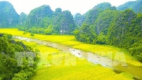 ngam tam coc bich dong dep nhu tranh trong mua sen