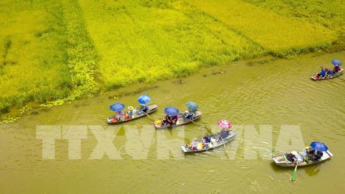 ngam mua vang tam coc ben bo song ngo dong dep nao long