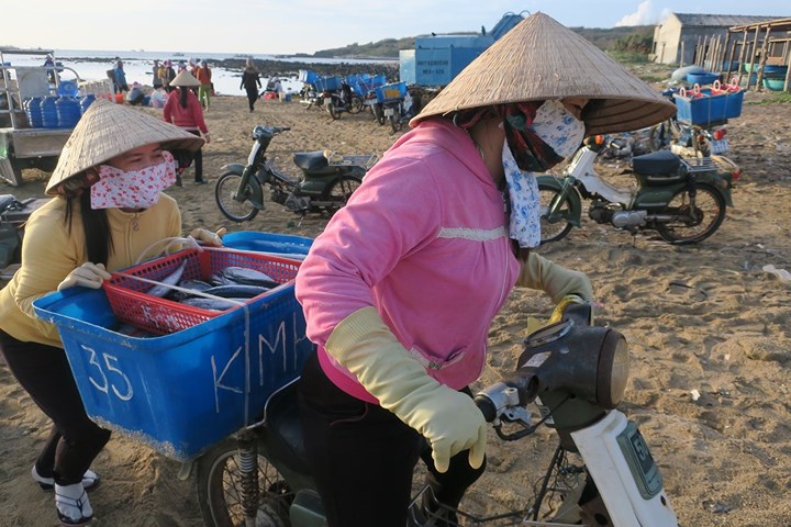 chum anh nhon nhip ben ca buoi rang dong tren dao phu quy 109338
