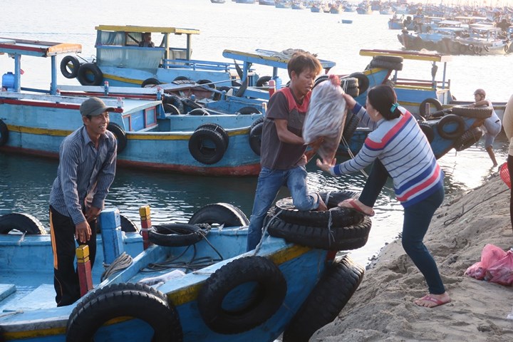 chum anh nhon nhip ben ca buoi rang dong tren dao phu quy 109338