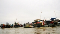 bien lua cot khoi cao hang chuc met bao trum day nha o cho noi cai rang